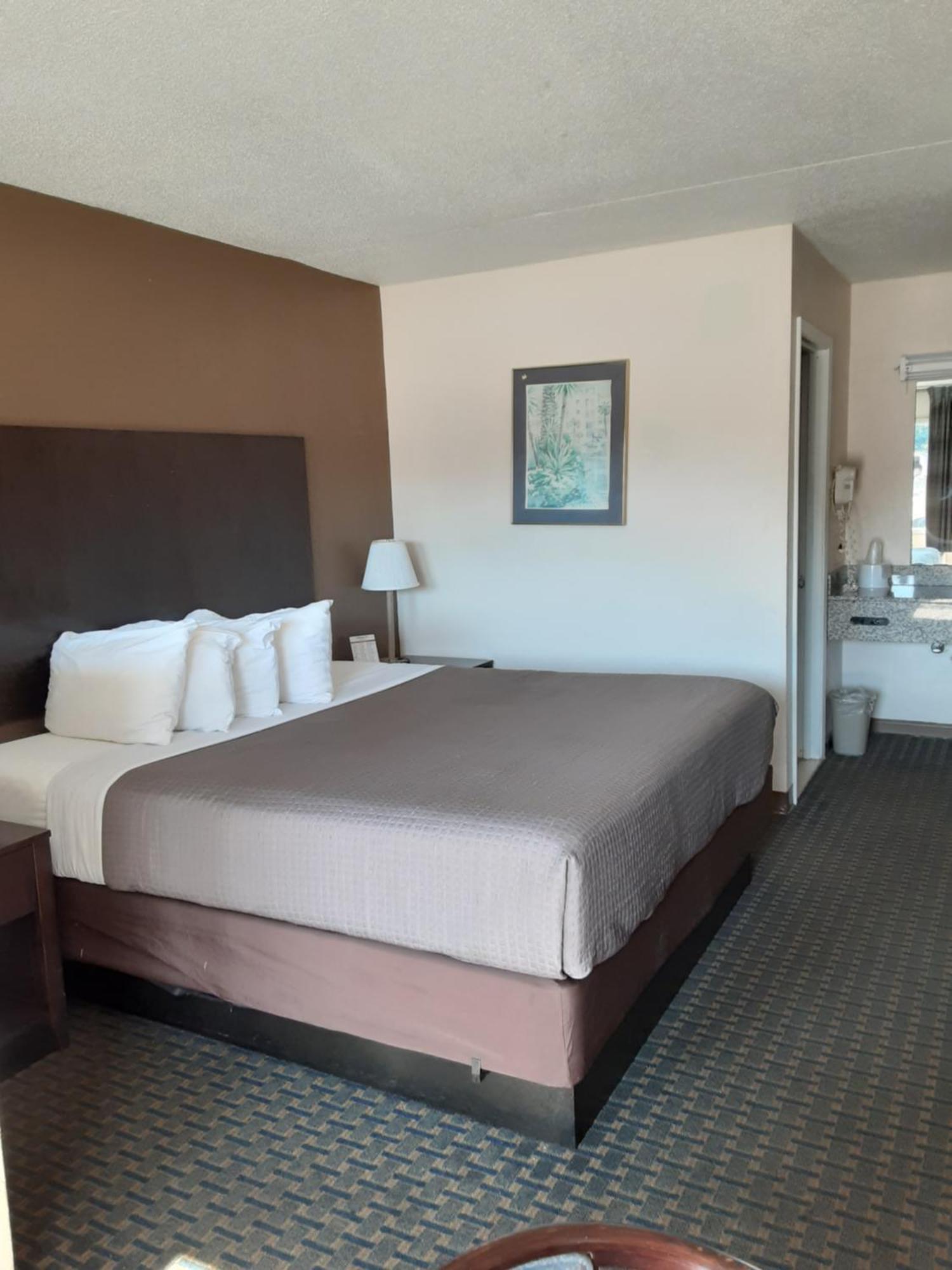 Rodeway Inn & Suites Wilmington North Pokoj fotografie